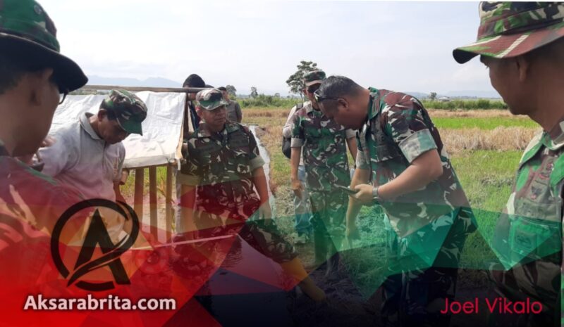 Dandim Kerinci Tinjau Titik Nol, Pertanian Sungai Penuh Siap Bangkit