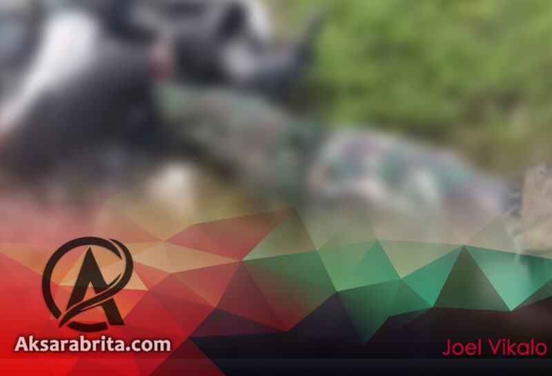 TNI Berduka: Serka Segar Maulama Gugur dalam Serangan OPM di Papua