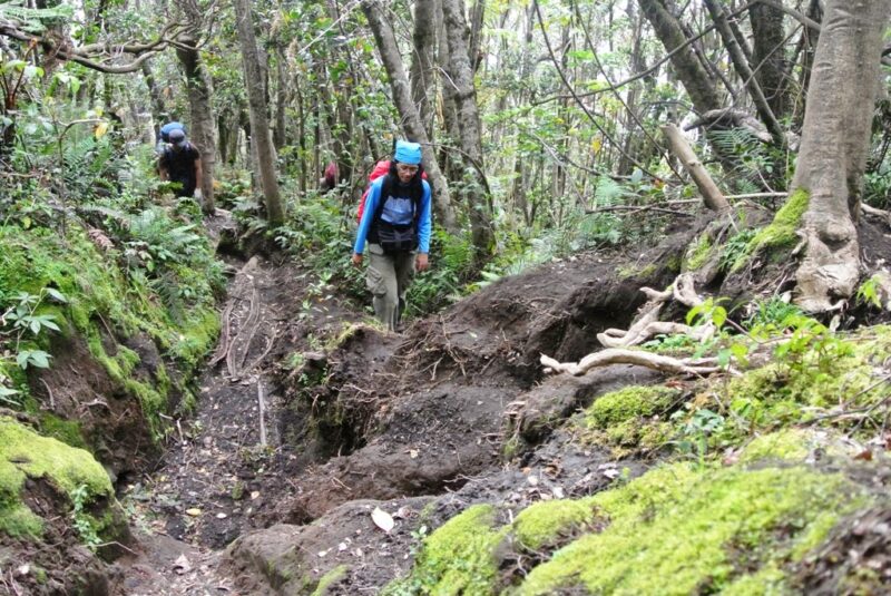 Pendaki Kini Bisa Menaklukkan Gunung Kerinci Lewat Jalur Solok Selatan