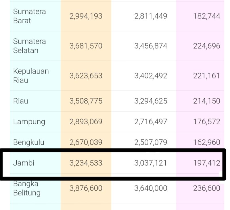 Tabel Gaji PPPK Paruh Waktu di Prov  Jambi