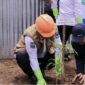 Wali Kota Alfin bersama Wakil Wali Kota Azhar Hamzah, Sekda Alpian, DPRD, serta Dandim 0417/Kerinci menanam bibit pohon di sekitar area TPST.