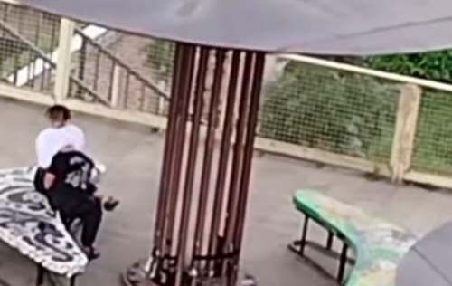 Dok.Video @feedgramindo