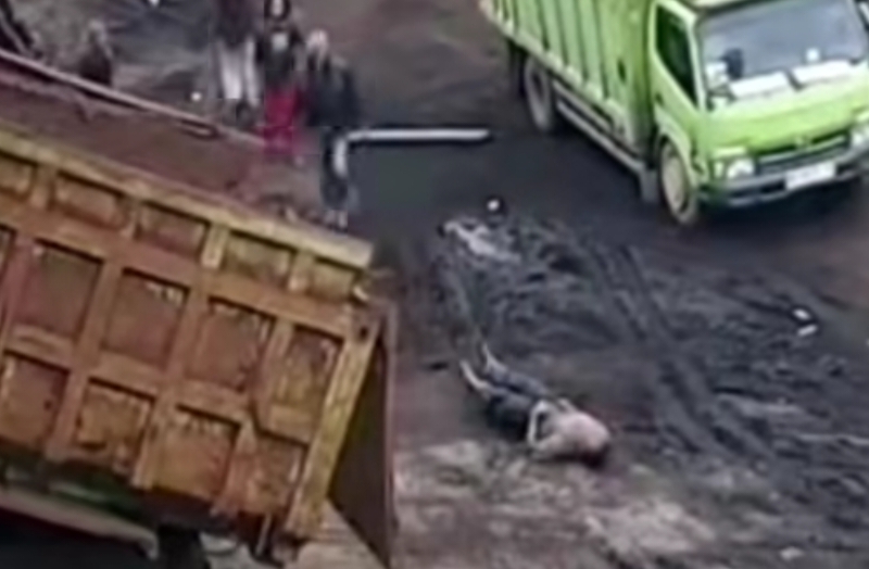 Sopir Truk Batu Bara Tewas Diserang di Stockpile Talang Duku (tangkapan layar jambihits_id)