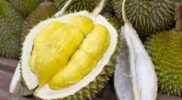 Risiko Makan Durian untuk Anak Kecil