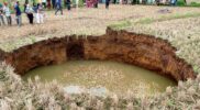 Lubang Raksasa Muncul di Sawah