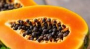 Biji Pepaya