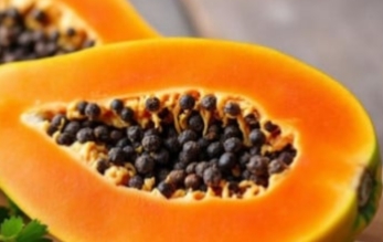 Biji Pepaya 