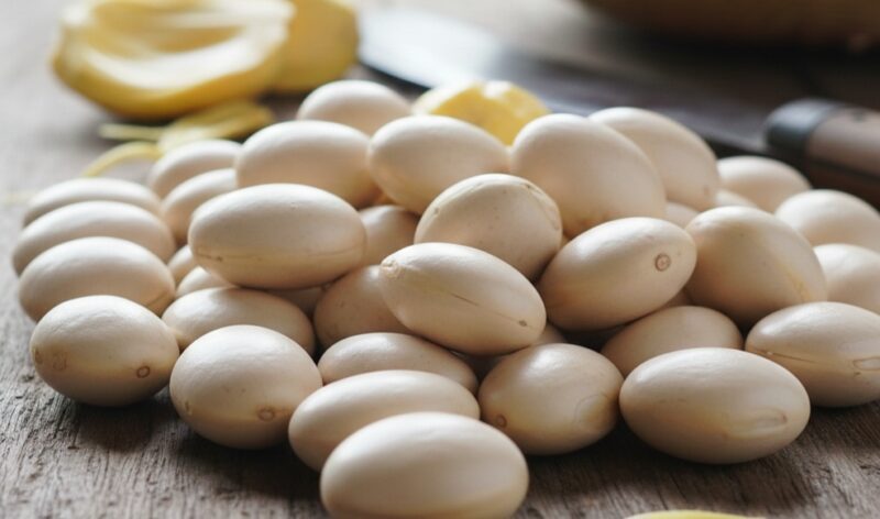 Empat Manfaat Biji Nangka Untuk Kesehatan 