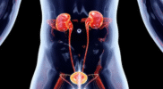 12 Gejala Sakit Ginjal yang Harus Diwaspadai dan Cara Mencegahnya