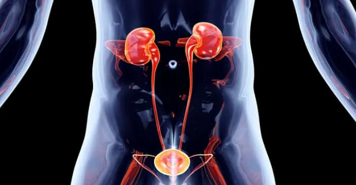 12 Gejala Sakit Ginjal yang Harus Diwaspadai dan Cara Mencegahnya