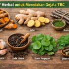 7 Herbal Ampuh untuk Meredakan Gejala TBC, Bisa Dikonsumsi di Rumah