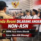Pemda Resmi Dilarang Angkat Non-ASN
