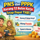 Kerja Belum Setahun PNS dan PPPK dapat THR