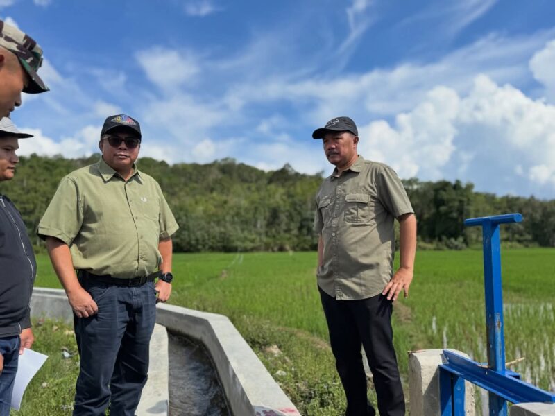 Bupati Kerinci dan Dirjen Tinjau Irigasi
