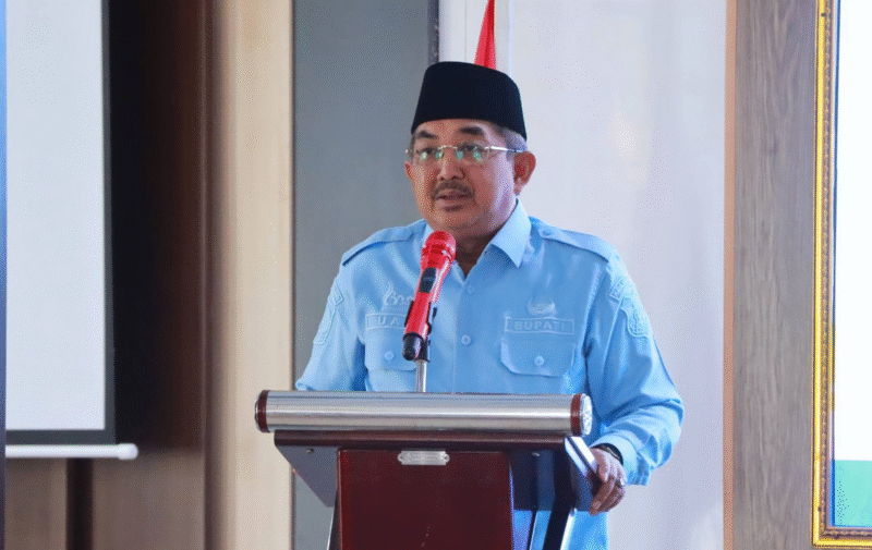 Kabar Gembira! Bupati Anwar Pastikan P3K Paruh Waktu Tanjab Barat Dapat THR