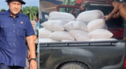 Panen Perdana 5,6 Ton, Jagung Merangin Diborong Bulog