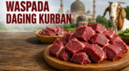 ilustrasi Daging Kurban