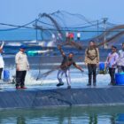 Panen Raya Udang Kebumen, Presiden Prabowo Protein dan Proyek Penghasil Lapangan Kerja