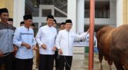 Al Haris menyerahkan seekor sapi jenis Simmental dengan bobot mencapai 930 kilogram