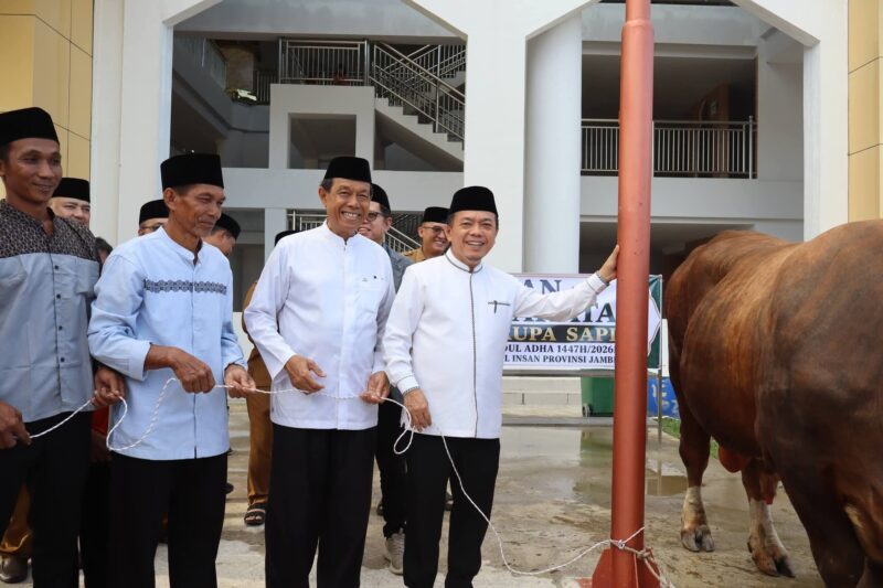 Al Haris menyerahkan seekor sapi jenis Simmental dengan bobot mencapai 930 kilogram