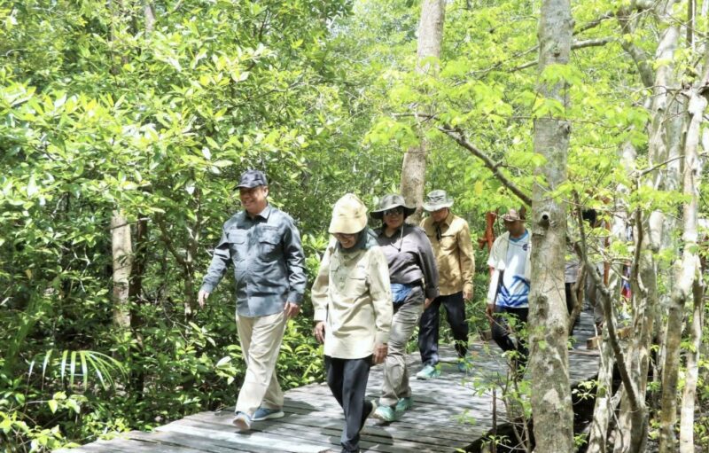 Wabup Katamso Dampingi Verifikasi Mangrove Pangkal Babu