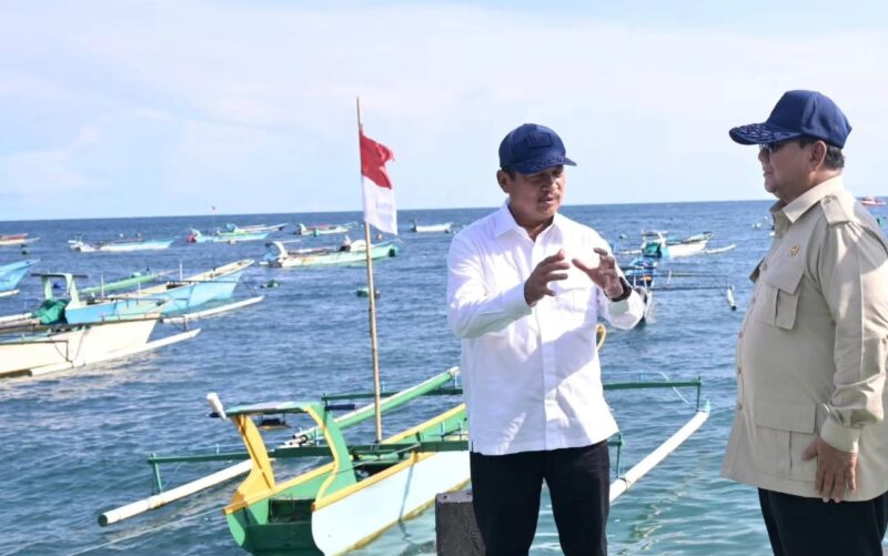 Presiden Prabowo tinjau Kampung Nelayan di Gorontalo (foto Istimewa)