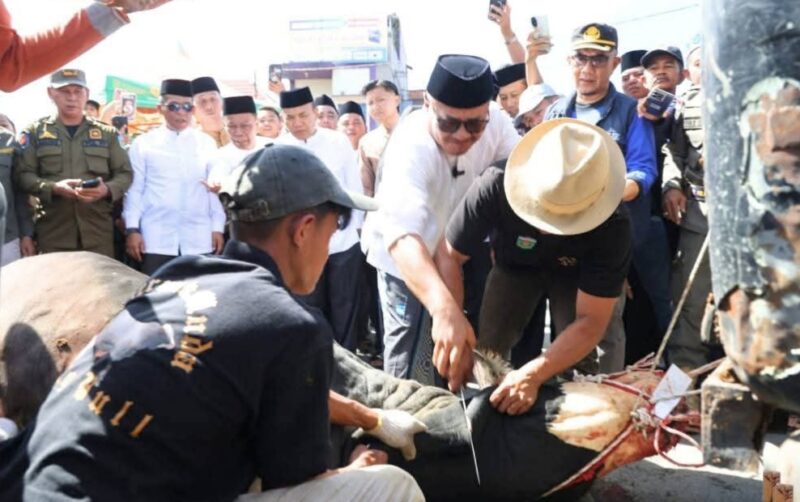 Wako Alfin Tebar Semangat Berbagi Lewat Qurban