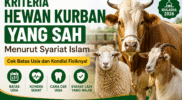 Kriteria Hewan Kurban Sah, Cek Batas Usia dan Ciri-cirinya