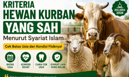 Kriteria Hewan Kurban Sah, Cek Batas Usia dan Ciri-cirinya