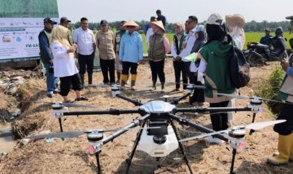 Rawa Medang Jadi Percontohan Pertanian Modern di Jambi