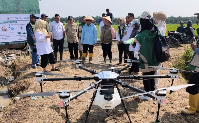 Rawa Medang Jadi Percontohan Pertanian Modern di Jambi
