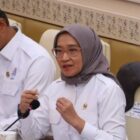 Kabar Baik Honorer, Pemerintah Siapkan PPPK Paruh Waktu