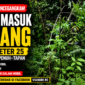 Mobil Terperosok ke Jurang di Kilometer 25 Jalur Tapan