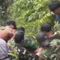 Warga SAD Keroyok Lima Anggota TNI di Sarolangun