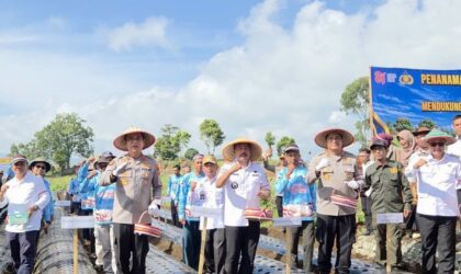 Sinergi TNI-Polri dan Pemda, Kayu Aro Dorong Swasembada Bawang Putih Nasional