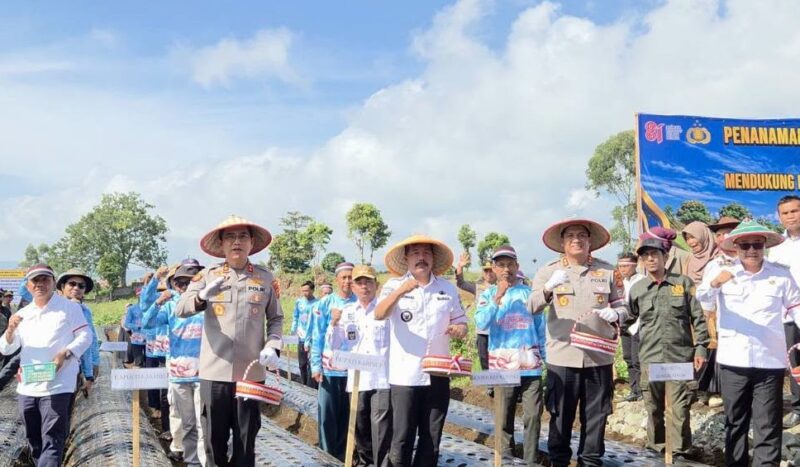 Sinergi TNI-Polri dan Pemda, Kayu Aro Dorong Swasembada Bawang Putih Nasional