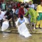 Pemkab Tanjab Barat melepas 3.000 bibit ikan di Lubuk Larangan Lubuk Bernai