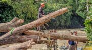 Cuaca Ekstrem Melanda Padang, BPBD Minta Nelayan Tunda Melaut