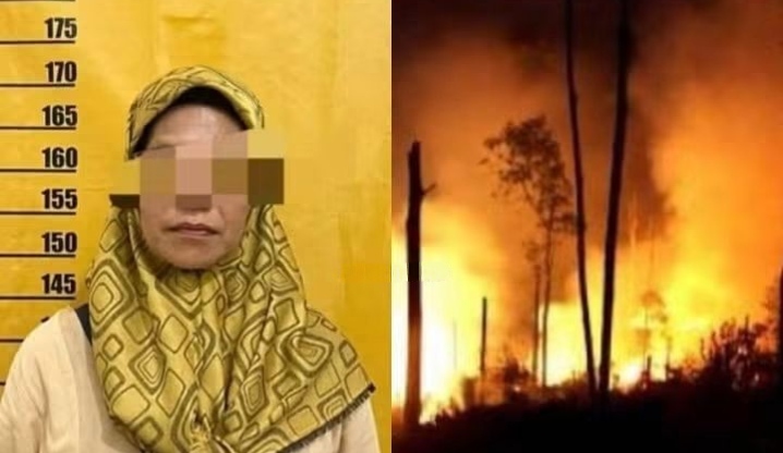 Bakar Ranting, IRT di Kampar Jadi Tersangka