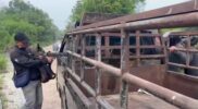 Polisi Gagalkan Penyelundupan 65 Kg Sabu di Bengkalis