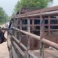 Polisi Gagalkan Penyelundupan 65 Kg Sabu di Bengkalis