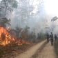 Karhutla Bungo Meluas, 15 Hektare Lahan Terbakar