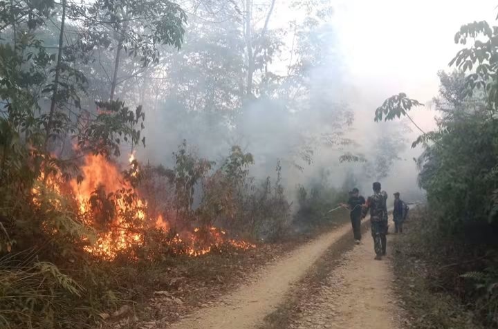 Karhutla Bungo Meluas, 15 Hektare Lahan Terbakar