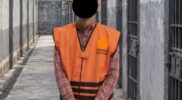 Kasus Satwa Dilindungi di Bogor Berlanjut, NS Jadi Tersangka