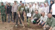 Bupati Monadi Tanam Perdana Kopi Arabika