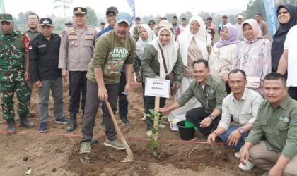 Bupati Monadi Tanam Perdana Kopi Arabika