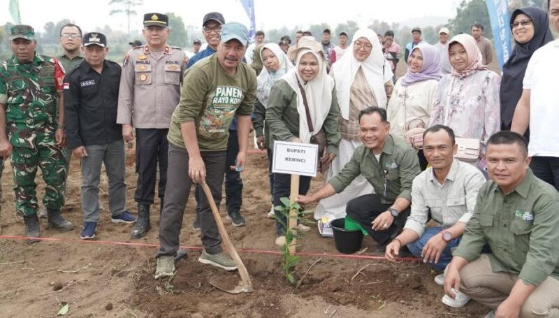 Bupati Monadi Tanam Perdana Kopi Arabika