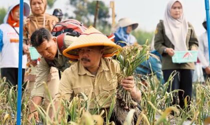 Bupati Monadi Dorong Pengembangan Bawang Putih untuk Dukung Swasembada Nasional