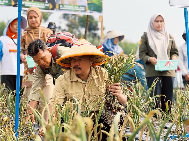 Bupati Monadi Dorong Pengembangan Bawang Putih untuk Dukung Swasembada Nasional