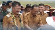 Bupati Kerinci Turun ke Sawah, Dorong Pertanian Modern